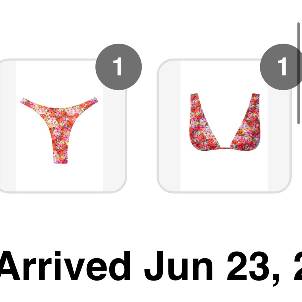 Monday Swim Bikini